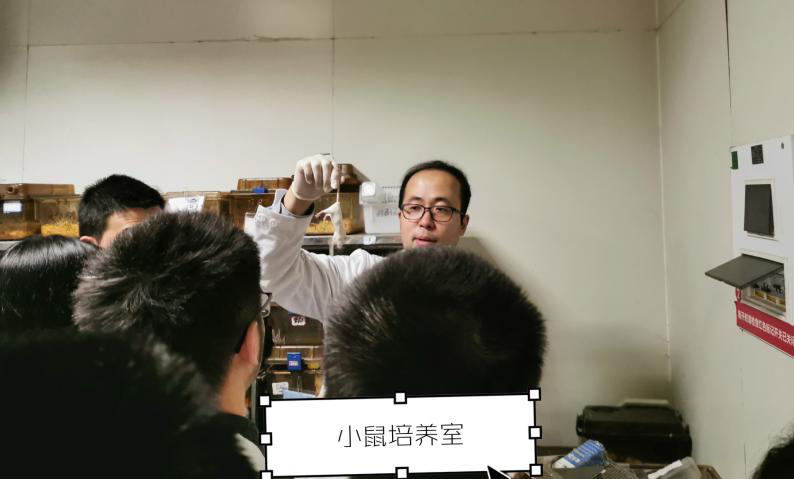 6.png 6.png