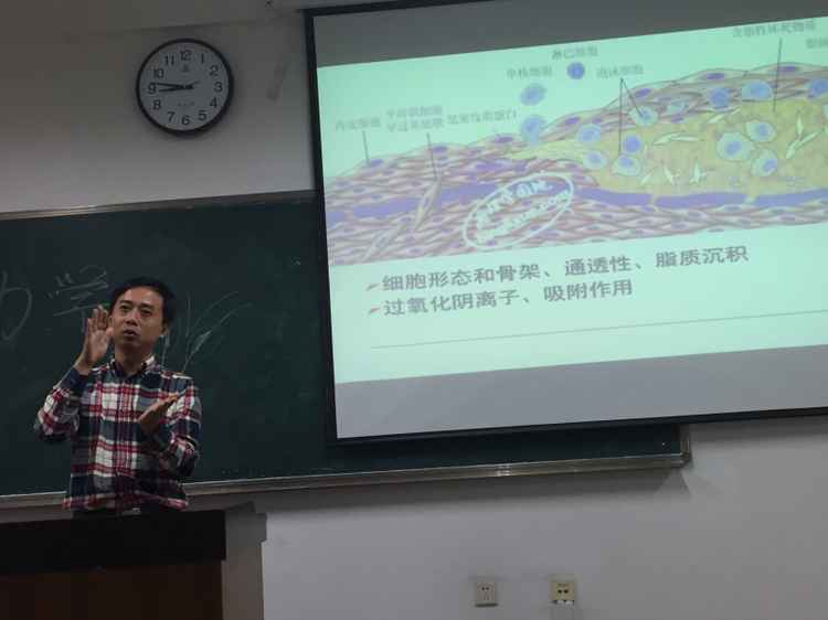 血管中的生物力学.jpg